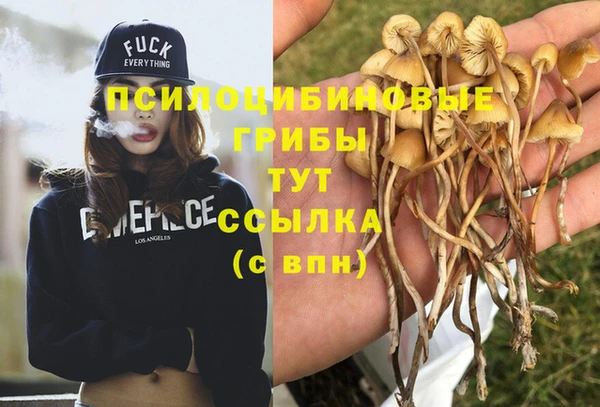 гидропоника Баксан