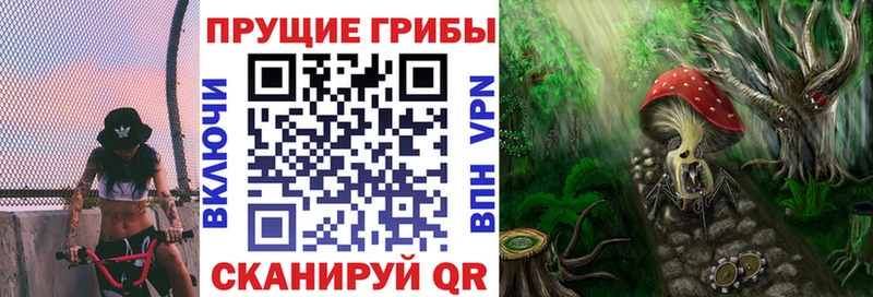 сколько стоит  Беслан  Галлюциногенные грибы MAGIC MUSHROOMS 